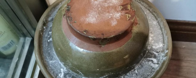 泡菜坛内的白膜是怎样形成的 怎样形成泡菜坛内的白膜的