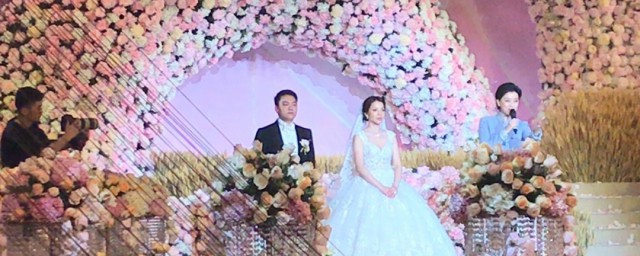 世纪婚礼是什么意思 世纪婚礼意思