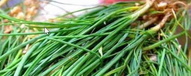 北京山上野葱还是山葱 北京山上的是野葱吗