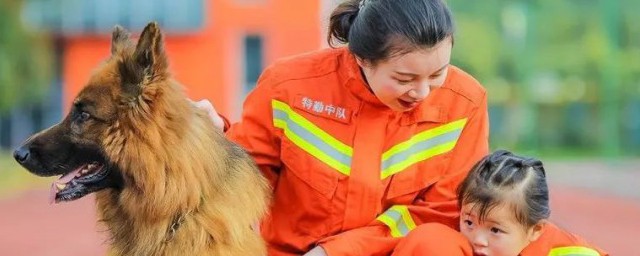 消防犬是用来做什么的 消防犬是用来做什么工作的