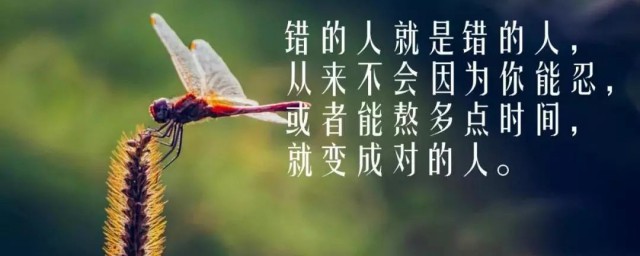 人生感悟短句 人生感悟短句有哪些
