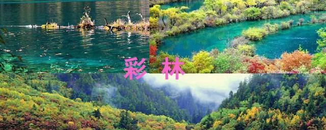 九寨沟介绍资料 九寨沟简介