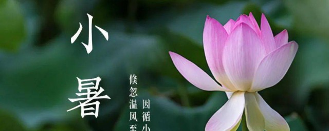 小暑又叫什么 小暑介绍