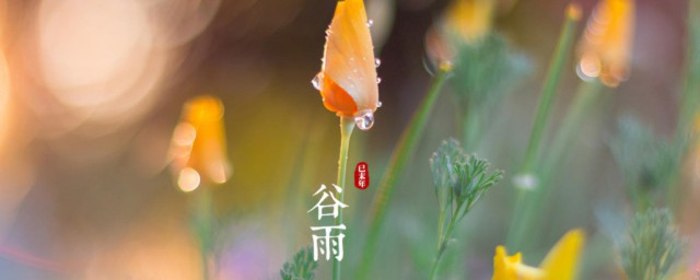 二十四节气正确顺序表 二十四节气顺序介绍