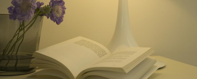 以心为擎万象可抵什么意思 以心为擎万象可抵的意思介绍