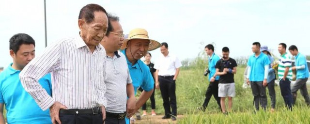 袁隆平简历简介 袁隆平简历介绍