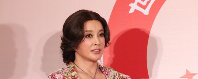 刘晓庆资料简介 刘晓庆个人资料