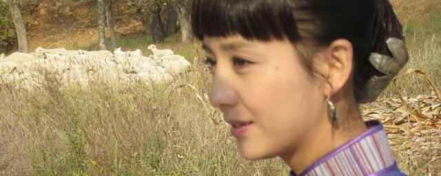 刀客家族的女人介绍 刀客家族的女人剧情介绍