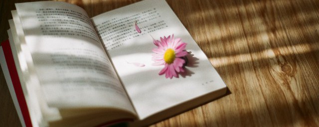 霞光万道是什么意思 霞光万道的意思