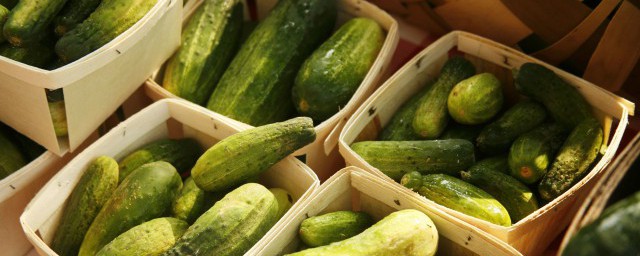 东北黄瓜咸菜的做法 东北黄瓜咸菜如何做