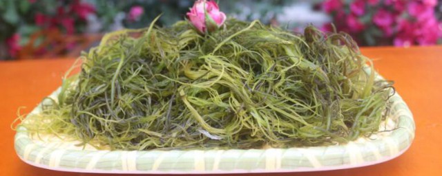 海菜营养价值及功效与作用 海菜营养价值及功效与作用有哪些