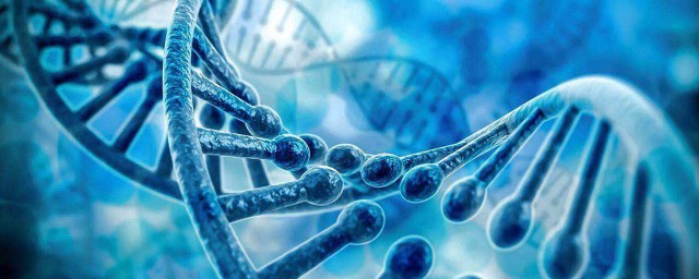 生物价是什么意思 生物价简介