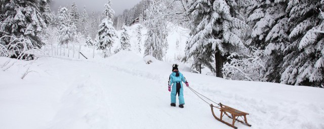 单反摄影雪天测光要领 单反摄影雪天测光要领有哪些