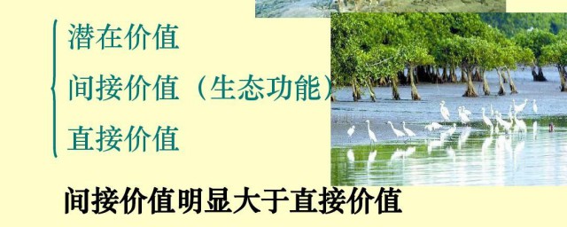 生物多样性的直接价值和间接价值的区别 生物多样性的直接价值和间接价值的区别介绍