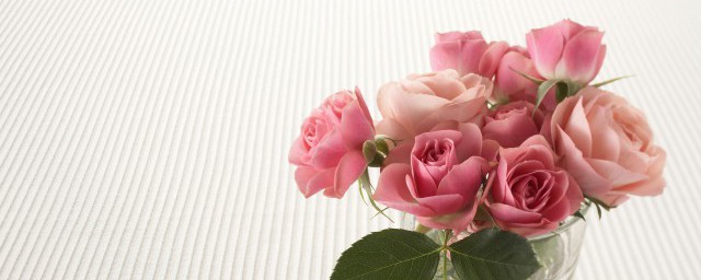 南阳市花是什么 南阳市花是啥