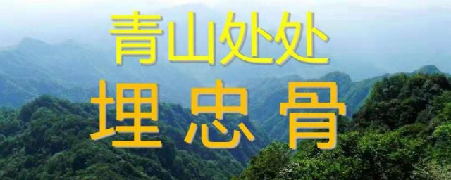 青山处处埋忠骨教案北大附小 有关青山处处埋忠骨教案北大附小