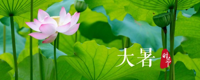大暑天吃什么好 大暑天养生饮食方法大全