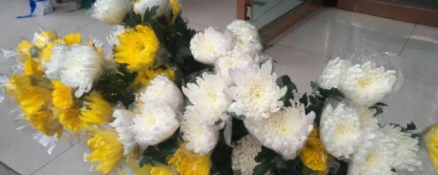 祭拜用什么花 祭拜用什么花好