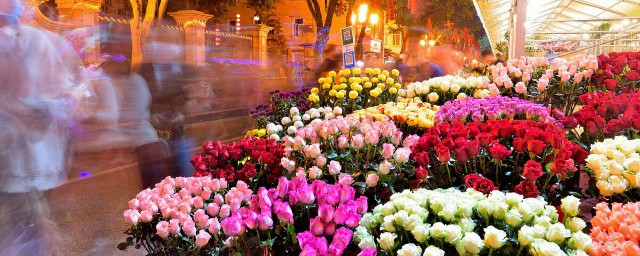 珠海市花是什么 什么是珠海市花