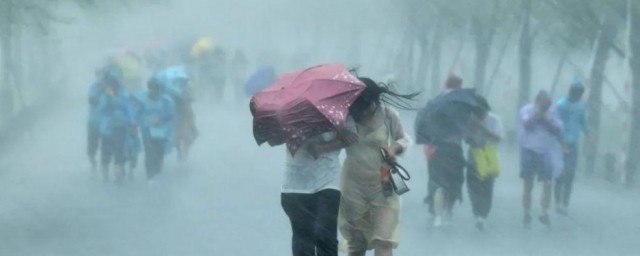 遇到暴雨应该怎样做 遇到暴雨怎么处理