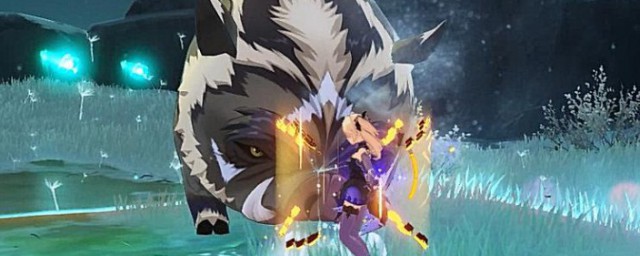 原神野猪王在哪 原神野猪王介绍