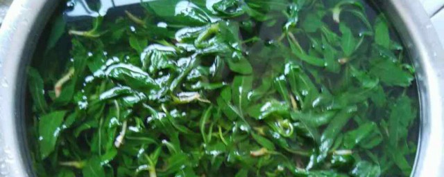 苦菜有哪些家常吃法 苦菜的家常吃法