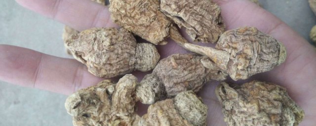 玛咖是什么东西 玛咖介绍