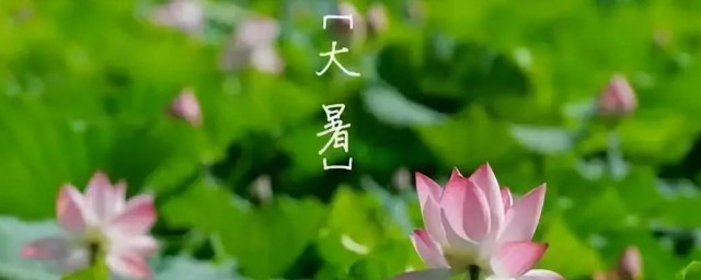 大暑的节气有什么讲究 大暑简介