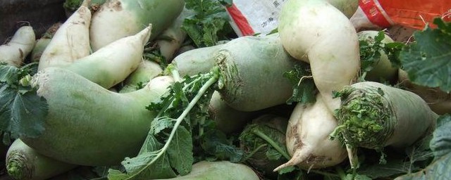 头伏萝卜二伏菜是什么意思 头伏萝卜二伏菜的意思简介