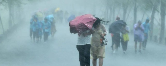 如何在暴雨中保护自己 在暴雨中保护自己方法