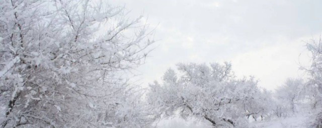 下里巴人和阳春白雪各是什么意思 下里巴人和阳春白雪什么意思