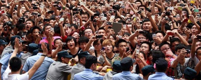 饭圈文化道理 饭圈文化道理是什么