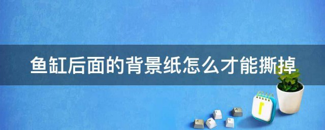 鱼缸后面的背景纸怎么才能撕掉 鱼缸后面的背景纸更换方法