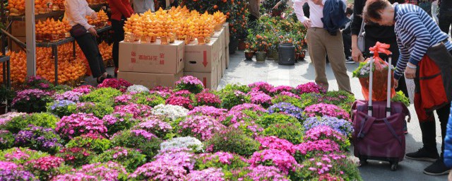 百花盛开是什么季节 百花开是什么季节