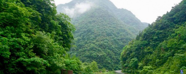 南川旅游景点大全 南川旅游十大景点