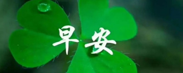 早安简短一句话说说 早安简短一句话