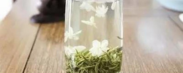 茉莉花茶6种人不要喝 哪6种人不能喝茉莉花茶