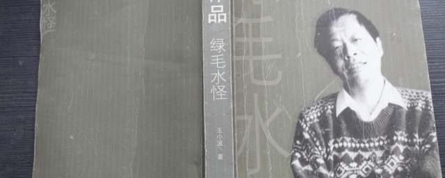 王小波代表作 王小波简介