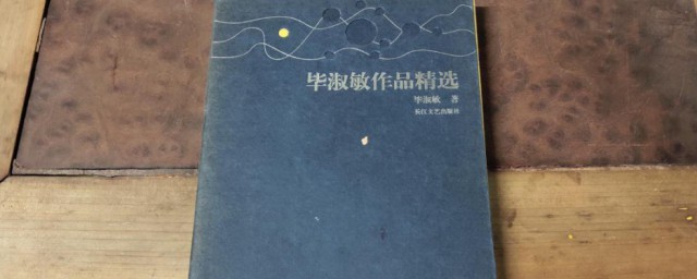 毕淑敏代表作 毕淑敏代表作有什么