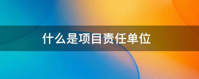 什么是项目责任单位 项目责任单位的解释