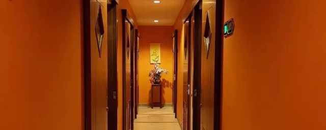 什么是抓龙筋 抓龙筋介绍