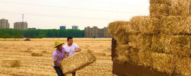 麦秸秆怎么才可以压块储存 怎样压缩麦秸秆成块状