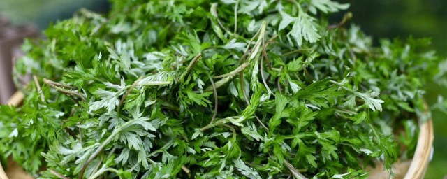 艾草怎样保存 艾草存放技巧