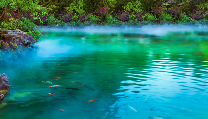 变形虫是真核生物还是原核生物