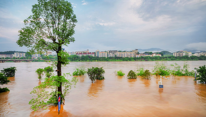 山洪灾害降雨强度预警信号的颜色等级顺序是