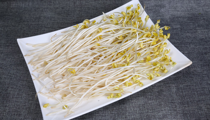 豆芽是植物吗