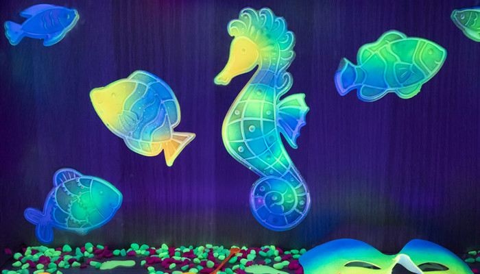 海马属于鱼类吗