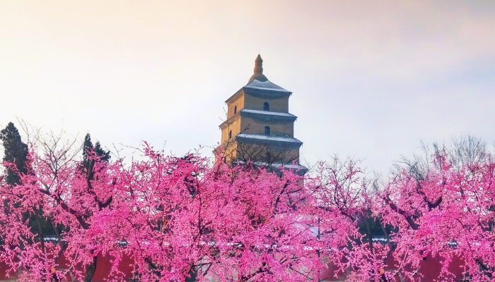 大雁塔为什么叫大雁塔