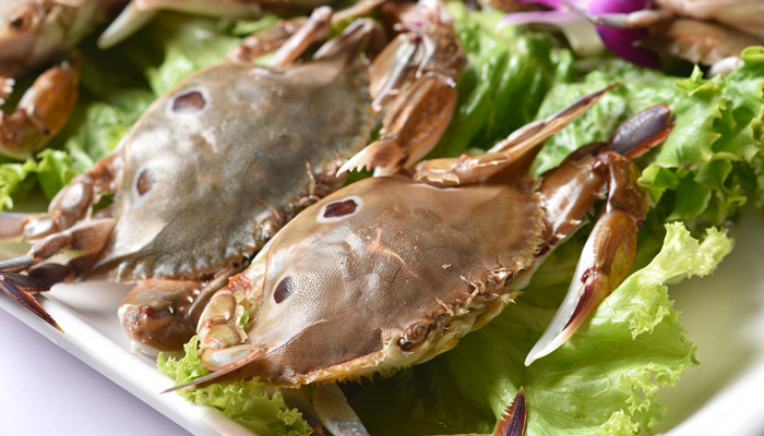 梭子蟹是凉性食物吗