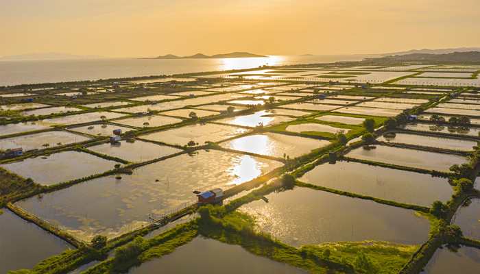 太湖属于哪个城市